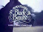 Aventures de Black Beauty <span>(Les)</span>